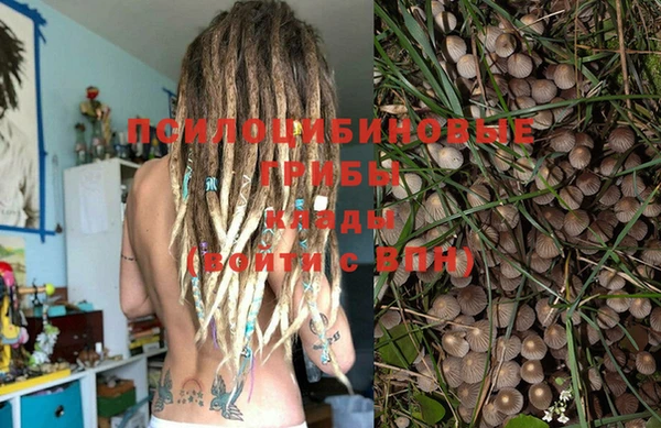 марихуана Абинск