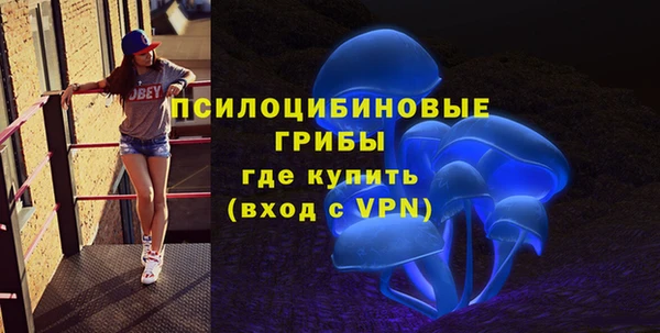 стаф Абдулино