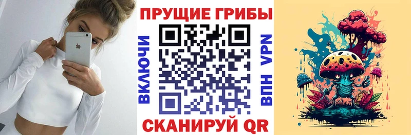 Галлюциногенные грибы Psilocybe  hydra как войти  Весьегонск 