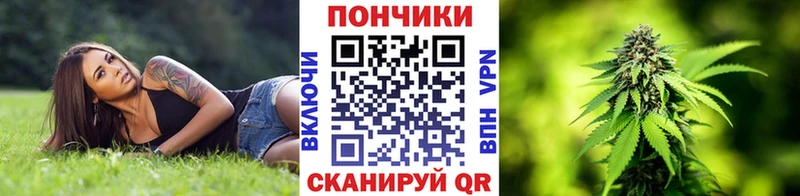 Бошки марихуана планчик  Весьегонск 